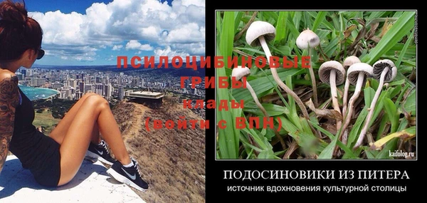 амф Козловка