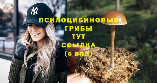 амф Козловка
