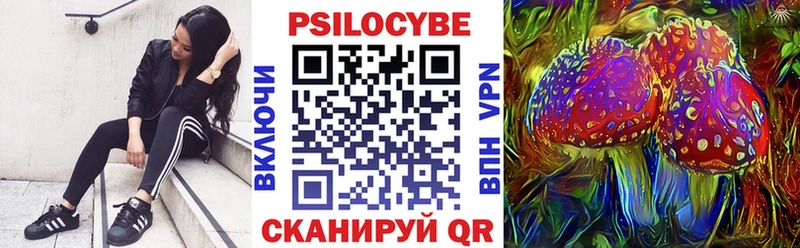 закладка  Краснозаводск  Галлюциногенные грибы MAGIC MUSHROOMS 